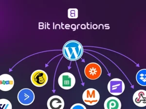 Bit Integrations