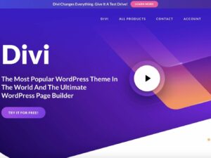 divi